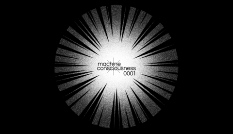 Machine Consciousness 0001